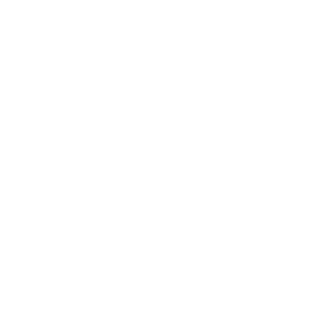 The CoSec Coach Logo