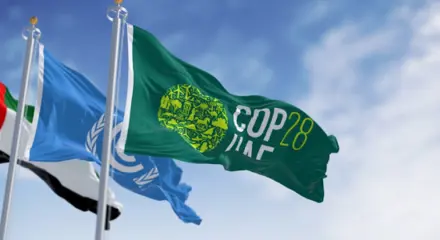 Cop28 Blog Hero